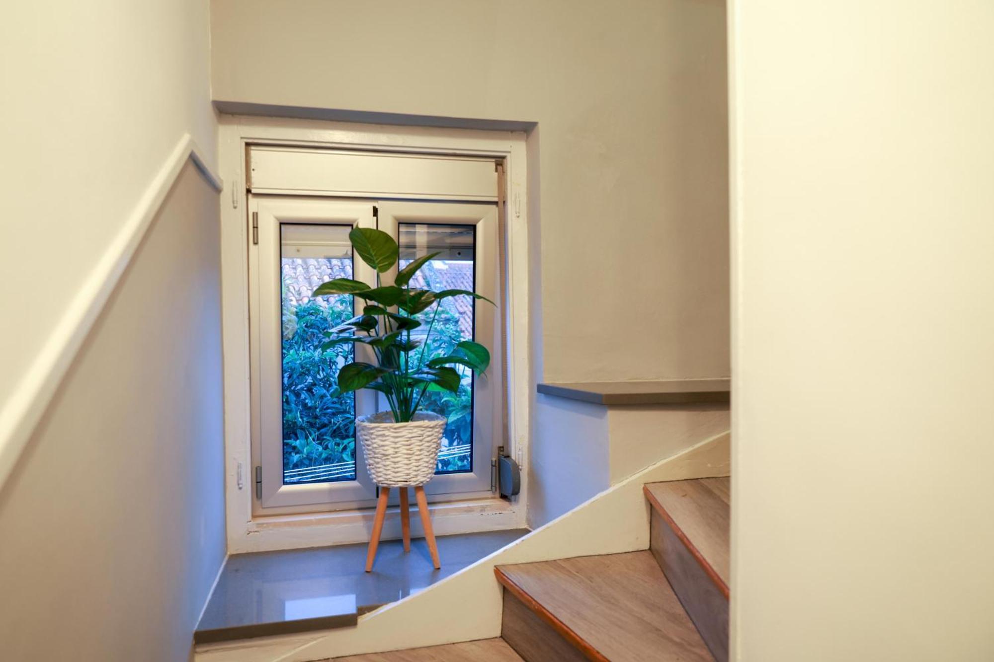 Guest House Abegorias นาซาเร ภายนอก รูปภาพ